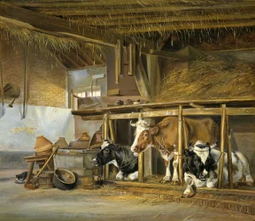 Kühe im Stall