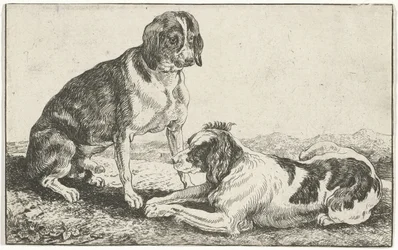 Zwei ruhende Hunde