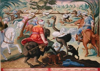 Mauren zu Pferde bei der Straußenjagd, Tafel 62 aus 
