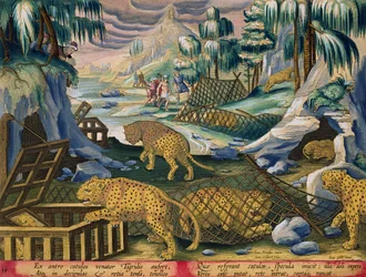 Fangen von Leoparden mit Hilfe von Netzen und Käfigen, die mit Spiegeln geködert sind, Tafel 15 aus 
