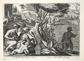 Wachteljagd, Illustration aus 