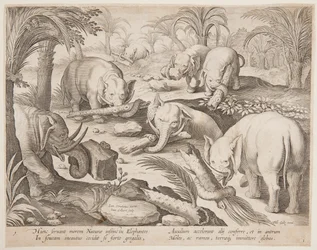 Elefanten helfen sich gegenseitig aus einer Falle, Platte 1 aus der Serie Venationes Ferarum, Avium, Piscium