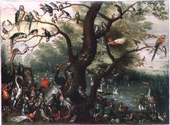 Konzert der Vögel