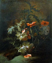 Disteln und Mohn