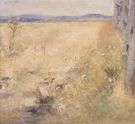 Ackerland im Sommer, ca. 1900