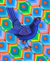 Amsel, 2023