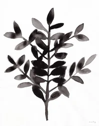 Botanisch mit Nagi Farn III