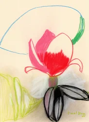 Magnolie in Farbe
