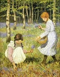 Blaue Glockenblumen pflücken