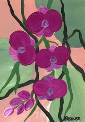 Magenta Orchideenblüten