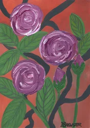 Lila Rosenblüte