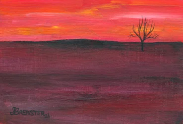 Einsamer Baum bei Sonnenuntergang