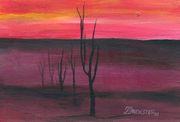 Lebendiger Sonnenuntergang in der Wüste