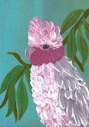 Leuchtend rosa Kakadu