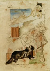 Katze und schwebende Jungfrau