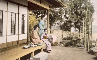 Damen zu Hause, 1890er