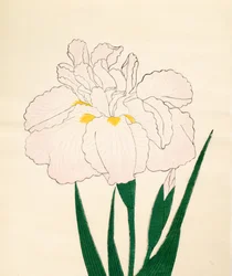 En-Yo-No-Ten, Nr. 73, 1890