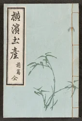 Vorderer Einband aus Ansichten von Yokohama