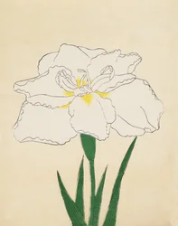 Haku-O-Den, Nr. 40, 1890