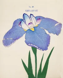 Kaku-Jaku-Ro, Nr. 39, 1898
