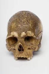 Okimono aus der Meiji-Periode