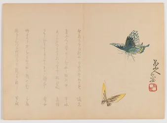 Zwei Schmetterlinge, ca. 1860