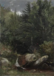 Bäume und ein Bach auf einem Hügel, 1853