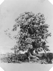 Landschaft mit Baum und einem Dorf in der Ferne (aus dem Cropsey-Album)