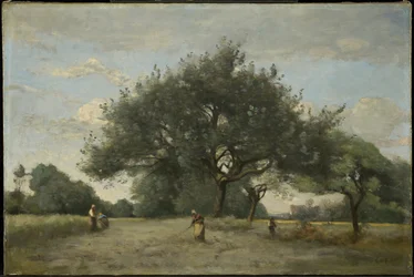 Apfelbäume auf einem Feld