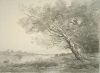 Gebogener Baum am Wasser