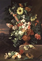 Sonnenblumen, Fingerhüte usw.