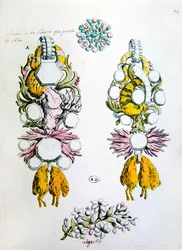Entwürfe für eine Brosche, eine Aigrette und den Orden vom Goldenen Vlies (Toison d