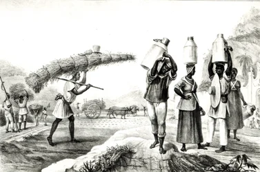 Milch- und Capim-Verkäufer, aus 