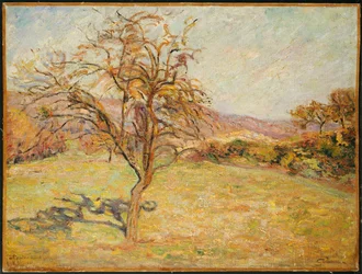 Landschaft