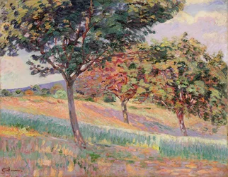 Obstgarten in St. Cheron