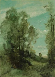 Baumlandschaft (Morgen)