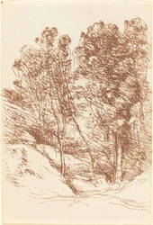 Erinnerung an das Sole-Tal, 1871