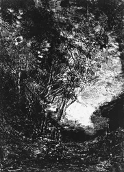 Der Hinterhalt, 1858