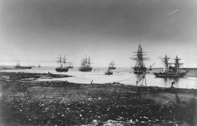 Krimkrieg, französisches Geschwader, Einfahrt in den Hafen, 1855