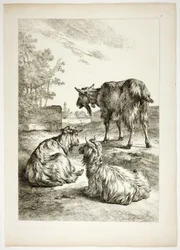 Platte Achtzehn von 38 aus Oeuvres de J. B. Huet
