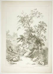 Tafel Sechs von 38 aus Oeuvres de J. B. Huet