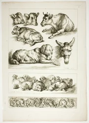 Tafel Zwanzig von 38 aus Oeuvres de J. B. Huet