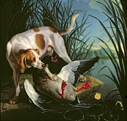 Hund mit einer Wildente