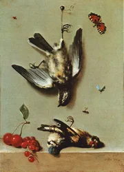 Stillleben mit drei toten Vögeln, Johannisbeeren, Kirschen und Insekten
