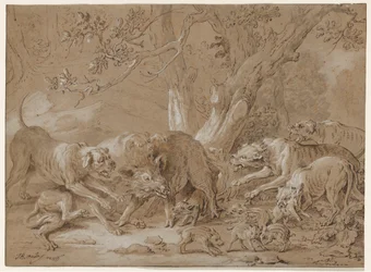 Wilde Sau und ihre Jungen von Hunden angegriffen, 1748
