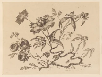 Blumenzweige, aus "Sammlung verschiedener Fantasieblumen im chinesischen Stil"