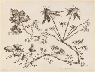 Blumenzweige, aus "Recueil de Differentes Fleurs de Fantaisie Dans le Goût Chinois"