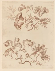 Blumenzweige, aus "Recueil de Differentes Fleurs de Fantaisie Dans le Goût Chinois"