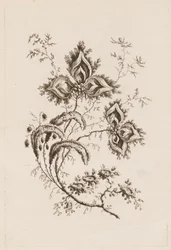 Blumenzweig, aus "Fleures Persannes"