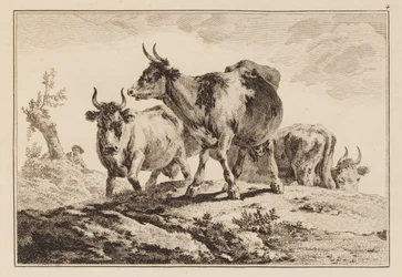 Tafel 4, aus "Cahier de Six Feuilles de Boeufs et Vaches"